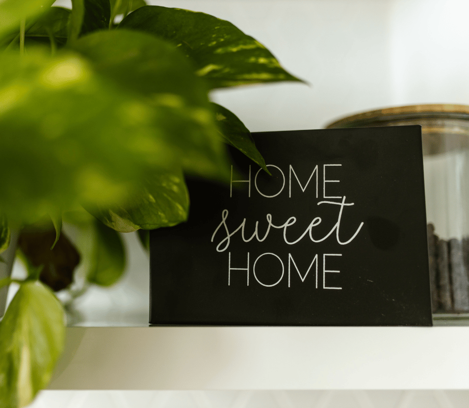 Should you buy new or established? Here’s what to consider